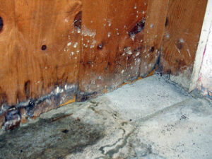 Water Damage Restoration